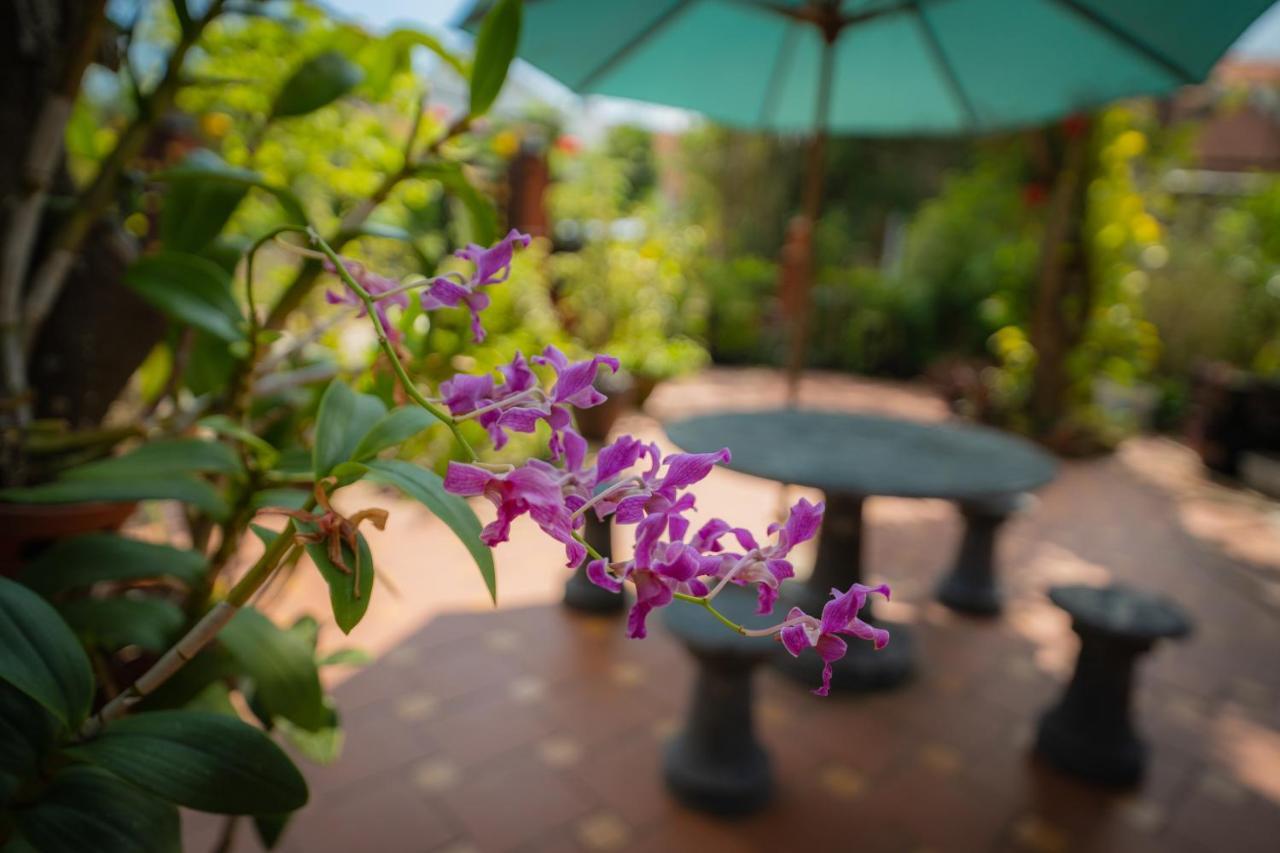 Homestay Strawberry Garden